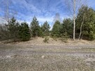 Działka o  pow. 1,63 ha w Karolowie gm. Chotcza. - 3