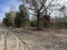 Działka o  pow. 1,63 ha w Karolowie gm. Chotcza. - 5