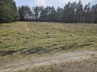 Sprzedam działkę rolną w Bedlenku 3,05 ha gm. Końskie - 2