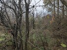 Działka ROD 600 m2 ul. Wschodnia blisko Auchan - 5