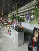 Kwiaciarnia do wynajęcia lokal na kwiaciarnię Wrocław - 8