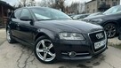Audi A3 1.6TDi Sportback OPŁACONY Bezwypadkowy Nawigacja Serwis GWARANCJA24M - 4