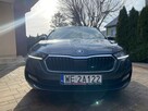 Škoda Octavia I Wł, Kraj,Bezwypadkowy, Bezszkodowy 100%, Ambition, BDB Stan,Vat 23% - 4