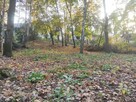 Działka Dąbrowa - 3