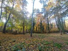 Działka Dąbrowa - 4