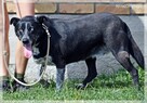 Lilia – garnąca się do człowieka starsza dama szuka rodziny - 6