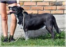 Lilia – garnąca się do człowieka starsza dama szuka rodziny - 2
