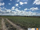 Działka pod Twój dom na łonie natury blisko W-wy - 6