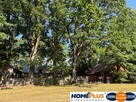 Siedlisko pod lasem, 1,8 ha niedaleko Warszawy - 16