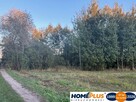 Działka rolna 2ha 20 km od Warszawy blisko S8 - 3