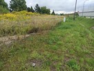 Tychy Urbanowice działka pod działalność - 5