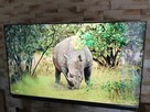 TV TCL 65 QLED 4k 120hz z nagłośnieniem ONKYO - 6