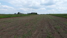 Działka na sprzedaż - 2