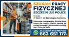 Poszukuję pracy fizycznej