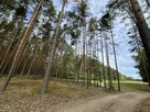Działka rolna z samosiejkami - 9