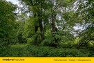 Zabytkowy Park Pałacowy/Dworski z XIX w. - 7.27ha - 9