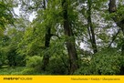Zabytkowy Park Pałacowy/Dworski z XIX w. - 7.27ha - 10