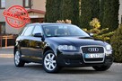 Audi A3 1.9TDI(105KM)*Sportback*Welut*Klimatronik*Chrom*Reling*Alu16"ASO