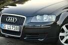 Audi A3 1.9TDI(105KM)*Sportback*Welut*Klimatronik*Chrom*Reling*Alu16"ASO - 12