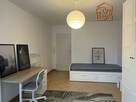 Kawalerka blisko UML- Probostwo 11, pet-friendly - 2