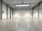 HALA PRODUKCJA 2500 M2 DOKI, BRAMY "0" Rybitwy - 2
