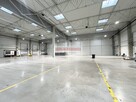 HALA PRODUKCJA 2500 M2 DOKI, BRAMY "0" Rybitwy - 4