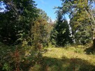 Piękna atrakcyjnie położona działka. - 6