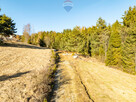 Szlembark - działka budowlano-leśna 5305m2 - 12