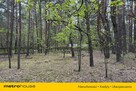 Działka leśna w Nadkole – w pobliżu rzeka Liwiec - 9