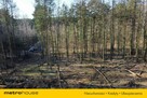 Działki budowlane w otoczeniu lasu, natury, Słowak - 6