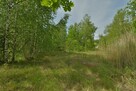 Działka przemysłowa Wałbrzych Stary Zdrój, Ludowa - 3