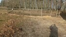 Stajnia wolnowybiegowa nawyłączność 30mi do Warszawy k.Żyrad - 4