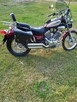 Yamaha Virago 535 - 4
