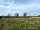 Działka budowlana 2900m2 DOBRZYŃ - 2