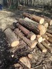 Pomoc przy zwożeniu drewna z lasu - 7