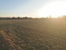 Sprzedam działkę rolną, 0,77 ha, Rzeszotary - 3