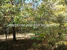 Działka budowlana Żelechów gm. Żabia Wola - 7