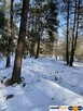 Działka budowlana w lesie, 1500 m² .