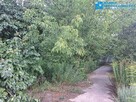 Brwinów – cisza i szybki dojazd do Warszawy - 2
