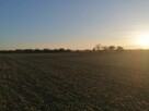 Sprzedam działkę rolną, 0,77 ha, Rzeszotary - 2