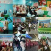 Native speaker - korepetycje angielski po angielsku - 5
