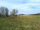 Działka budowlana 2900m2 DOBRZYŃ - 1