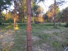 Sprzedam działkę budowlaną - 2
