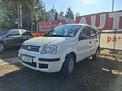 Fiat Panda - 3
