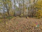 Działka usługowa nad stawem, mpzp - 8