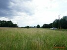 Działka rolna Bogatka gm. Pruszcz Gdański, - 2