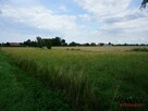 Działka rolna Bogatka gm. Pruszcz Gdański, - 7