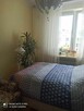 2 pokoje mieszkanie 60m2 - 8