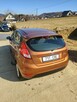 Ford fiesta - 3