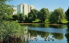 Mieszkanie z potencjałem nad Stawem i zielenią. - 11